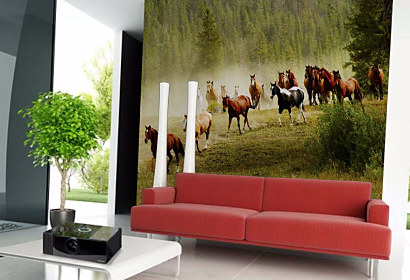 Tapeta Wild horses 29183