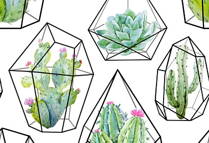 tapety folie samolepiace cactus