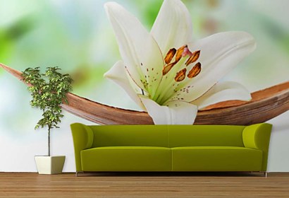 Fototapeta White Lily Inspiration 24228