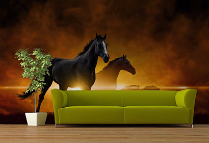 Tapeta Kone 29013