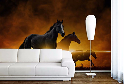 Tapeta Kone 29013
