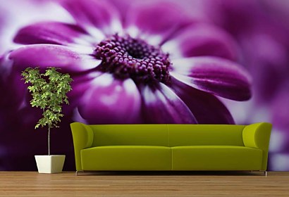Fototapeta FLoral Violet 24077