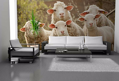 Tapeta Ovce 29200