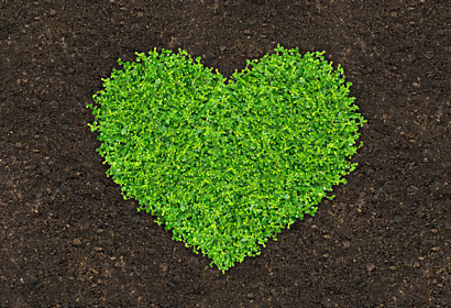 Fototapeta zástena - Green Heart 270