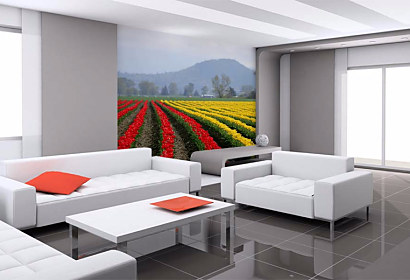 Tapeta na stene v obývačke Tulips fields Holland