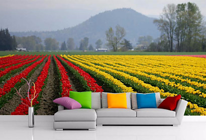 Tapeta Tulipánové pole 29151