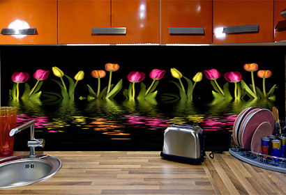 Fototapeta zástena - Farebné tulipány black 3147