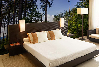 Tapeta Cesta lesom 29055