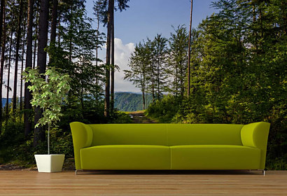 Tapeta Cesta lesom 29055