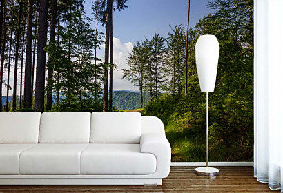 Tapeta Cesta lesom 29055