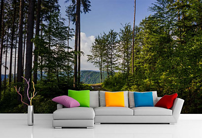 Tapeta Cesta lesom 29055