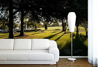 Fototapeta Park 6443
