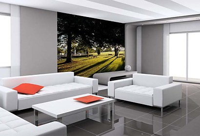 Fototapeta Park 6443