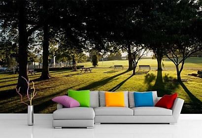 Fototapeta Park 6443