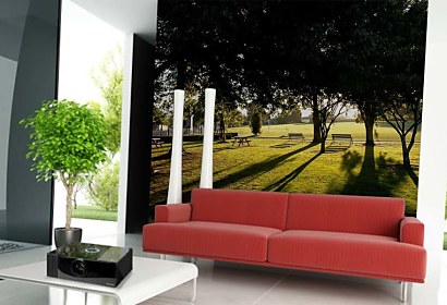 Fototapeta Park 6443