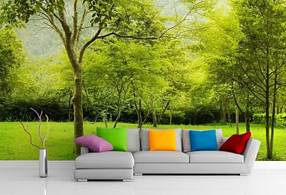 Fototapety Lesy - Green Forest 6657