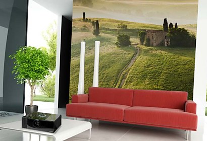 Fototapeta Nature 6335