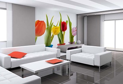 Fototapeta Colorful Tulips 6338