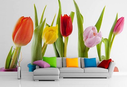 Fototapeta Colorful Tulips 6338