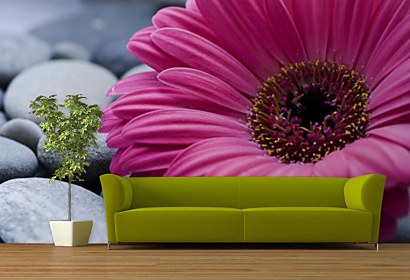 Fototapeta Gerbera a kamene 24098