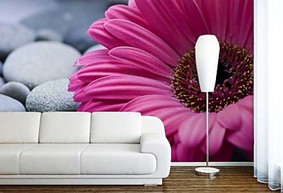 Fototapeta Gerbera a kamene 24098