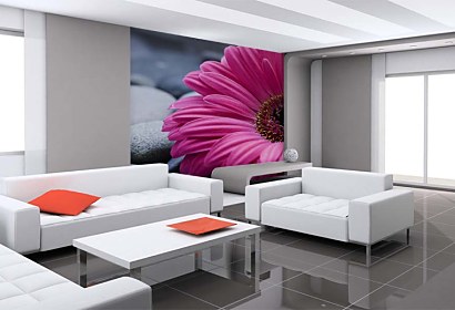 Fototapeta Gerbera a kamene 24098