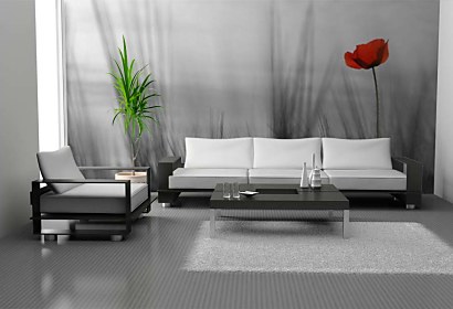 Fototapeta Vivid Poppy 24086