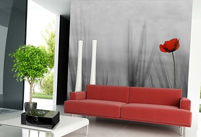 Fototapeta Vivid Poppy 24086