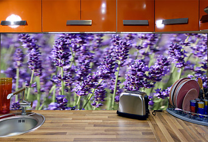 Fototapeta do kuchyne - Lavender flower 18564