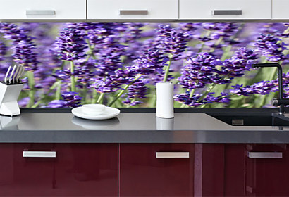 Fototapeta do kuchyne - Lavender flower 18564