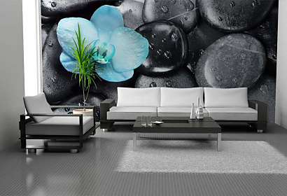 Tapeta Orchidea 29023
