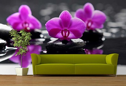 Fototapeta Purple orchid and Zen stones 24284