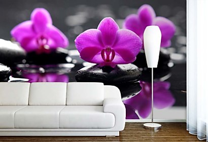 Fototapeta Purple orchid and Zen stones 24284
