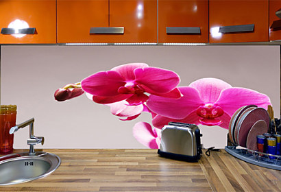 Fototapeta zástena - Ružový kvet orchidey 3146