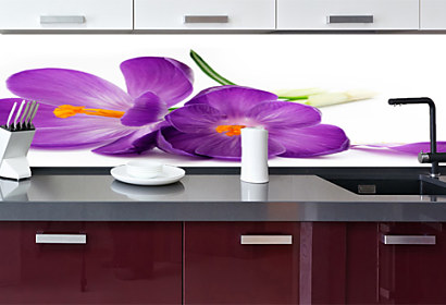 Fototapeta - Zástena fialový kvietok 24105