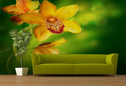 Fototapeta - Žltá orchidea 4679