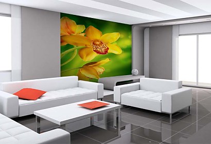 Fototapeta - Žltá orchidea 4679