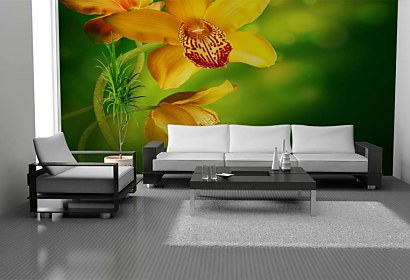 Fototapeta - Žltá orchidea 4679