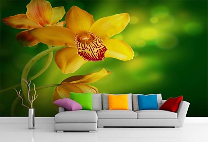 Fototapeta - Žltá orchidea 4679