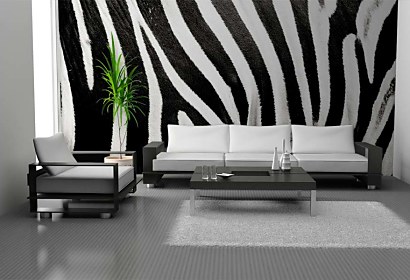 Fototapeta Zebra texture Black White 123